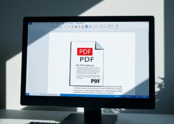 PDF in Word einfügen