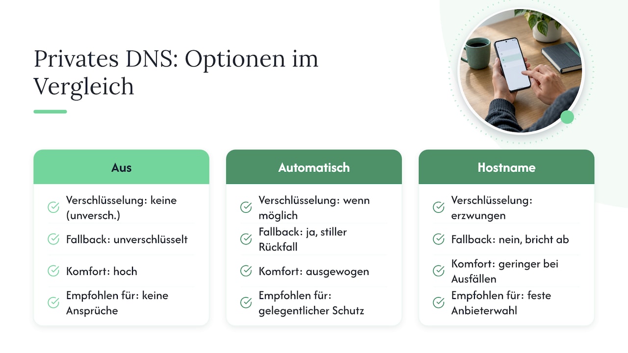 Optionen: Aus / Automatisch / Hostname des Anbieters — overview diagram