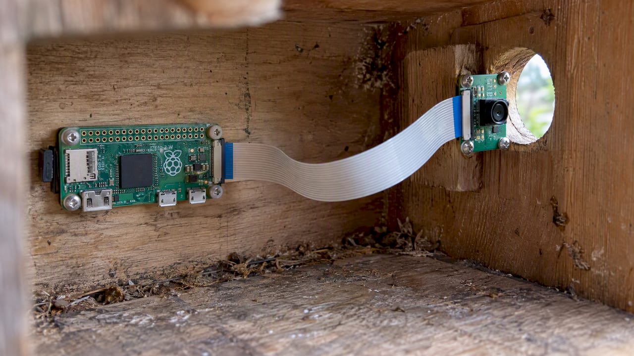 Kamera des Raspberry Pi im Inneren eines Vogelhauses